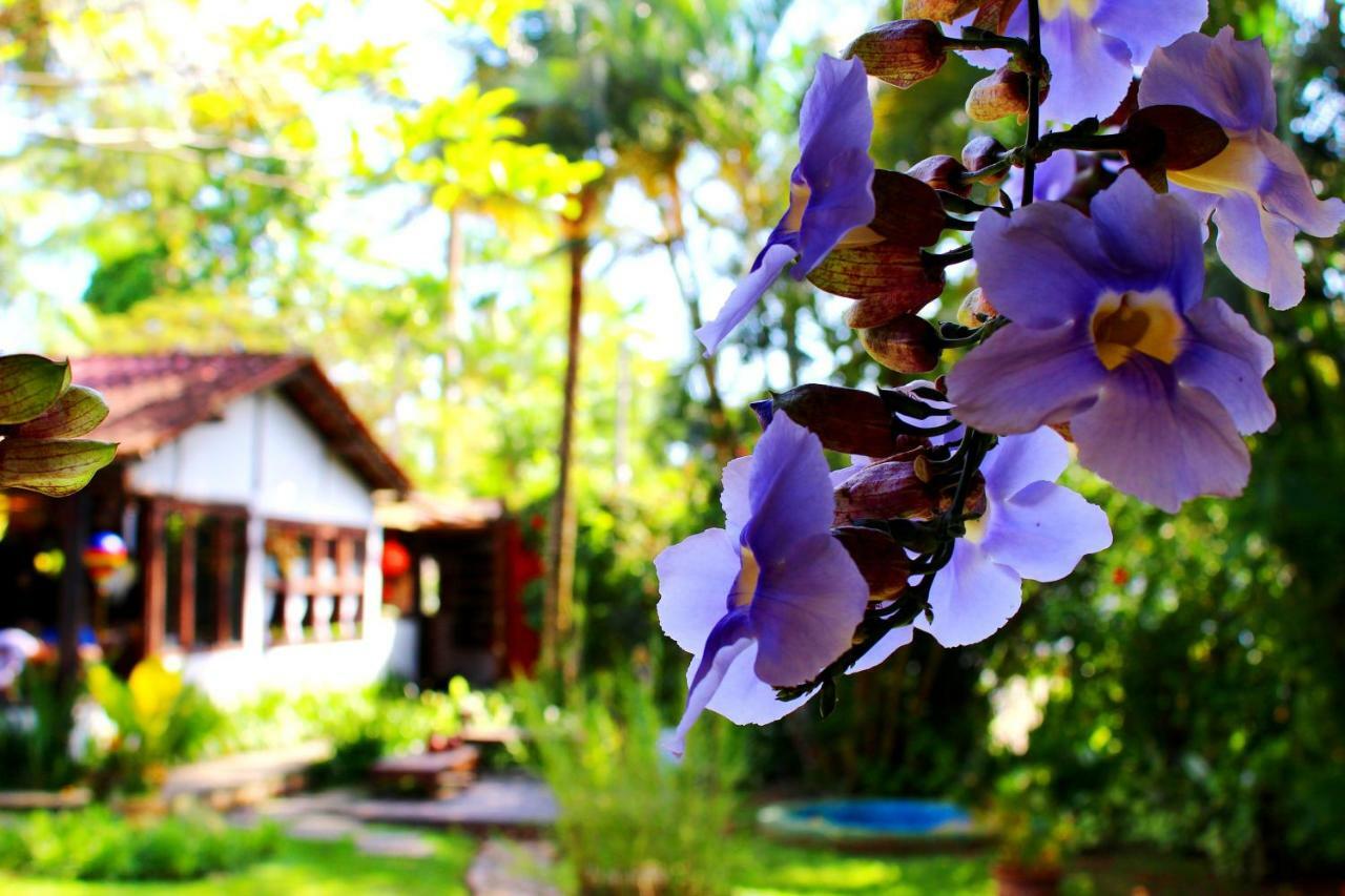 Recanto Das Andorinhas Studios Araquari Exterior photo